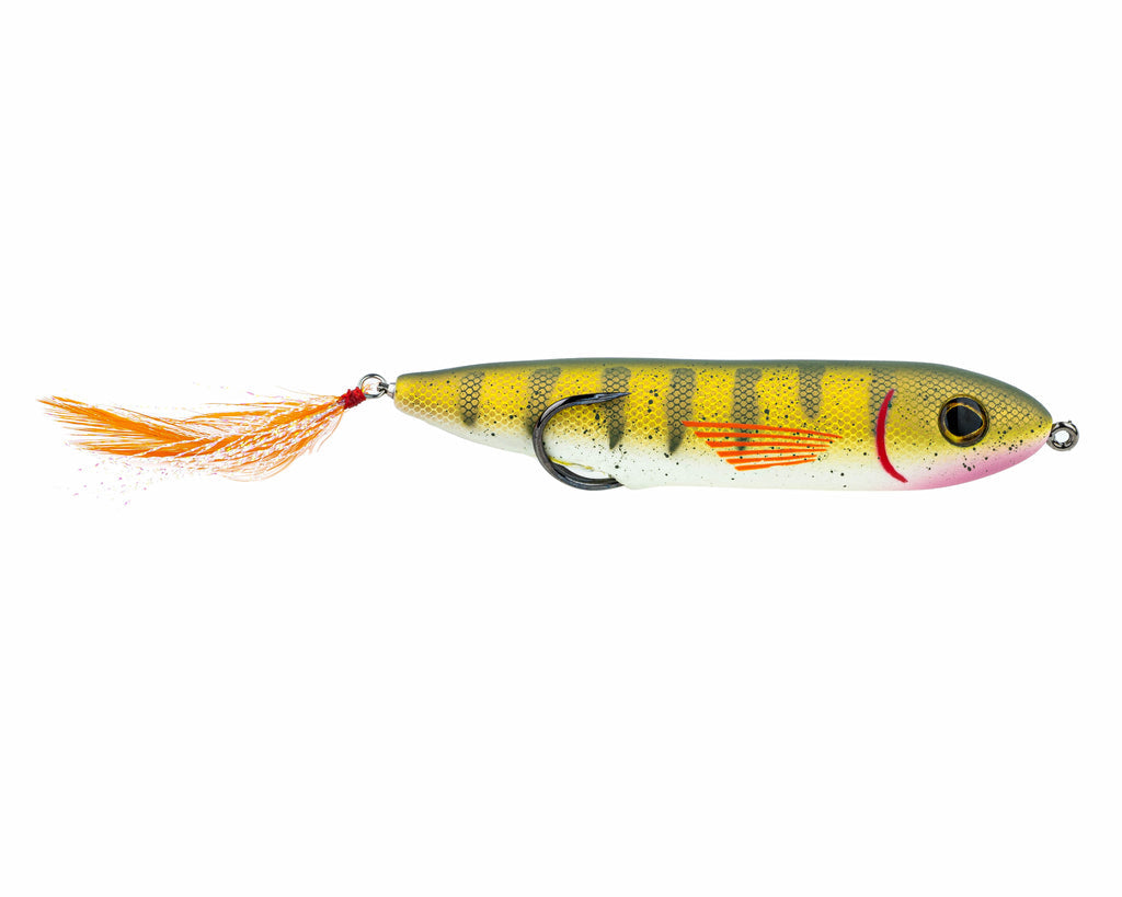 Heddon Chug'N Spook Popper Topwater Fishing Lure for Saltwater and  Freshwater, Topwater Lures -  Canada