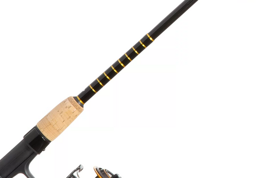  Daiwa ACIN661MXS Arid Coastal Inshore Saltwater Spinning Rod,  6'6 Length, 1pc, 8-17 lb Line Rate, 3/8-3/4 oz Lure Rate, Medium Power :  Sports & Outdoors